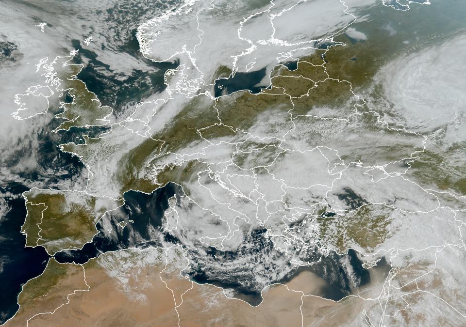 Live Satellite Image