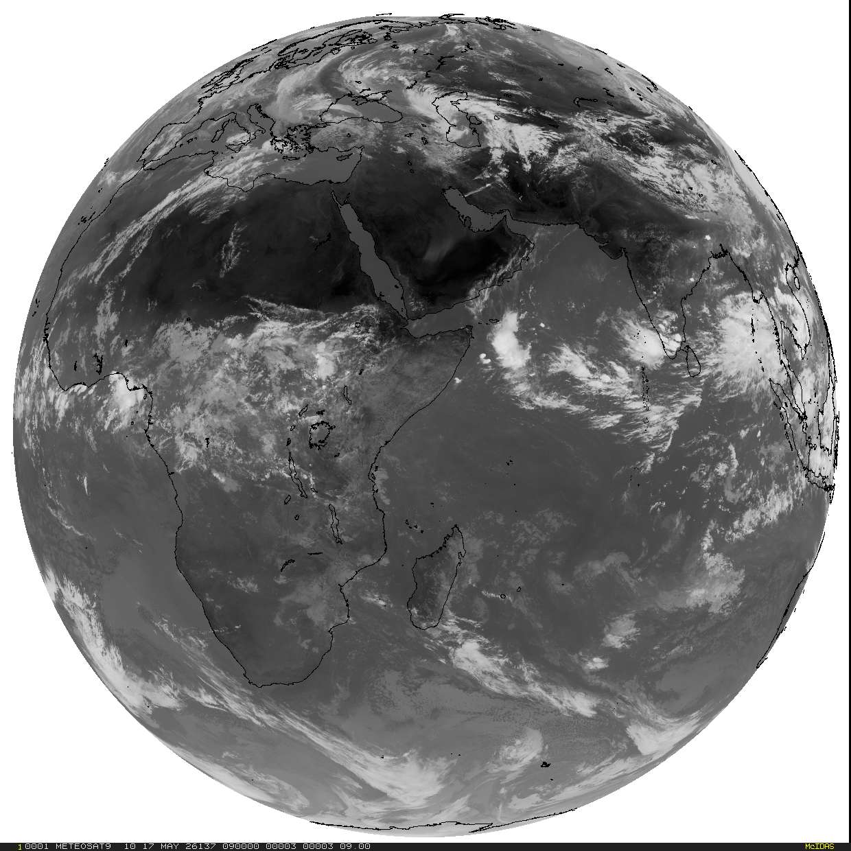 Live Satellite Image